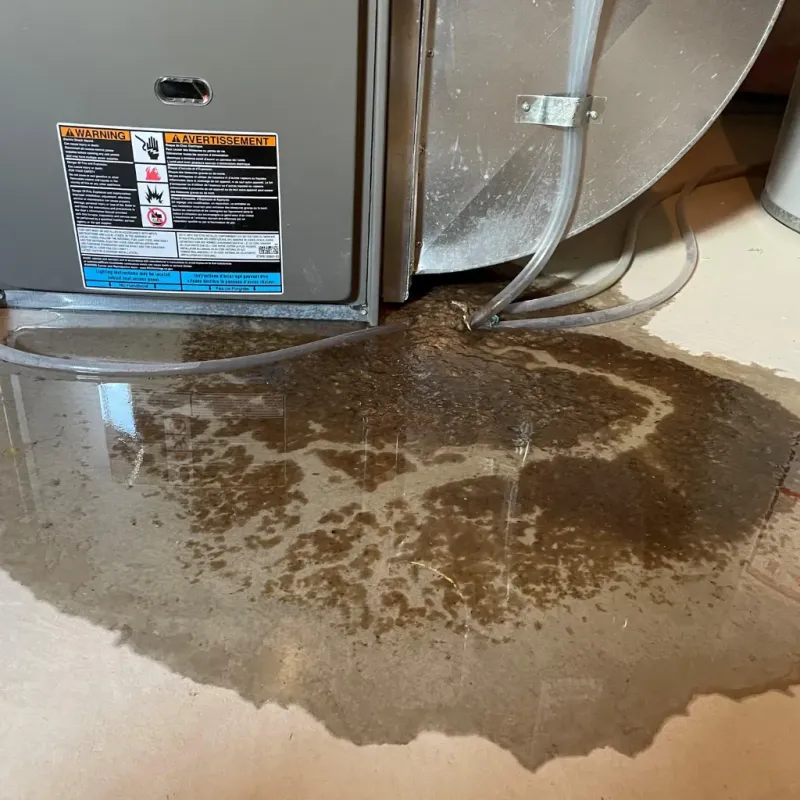 Appliance Leak Cleanup in Byrnes Mill, MO