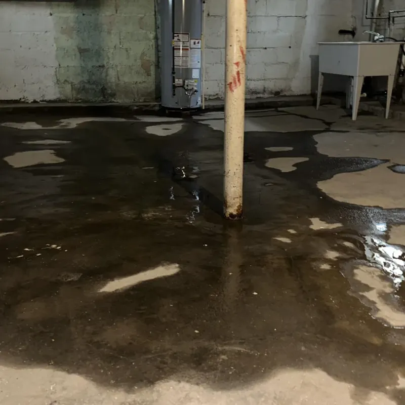 Emergency Water Extraction And Removal in Byrnes Mill, MO